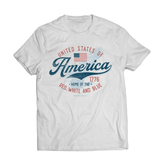 AMERICAN CLASSIC (TRAVELER SERIES)
